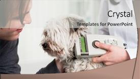  Presentation with child specialist - Presentation design enhanced with test dog - vet specialist examining sick yorkshire background and a white colored foreground