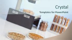  Presentation with test food - Audience pleasing PPT theme consisting of food laboratory test for pesticides backdrop and a sky blue colored foreground