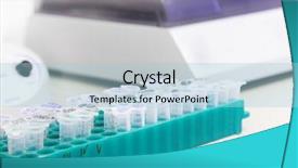  Presentation with biotechnology laboratory - Amazing PPT theme having scrambled eggs with toast and donut on wood backdrop and a coral colored foreground