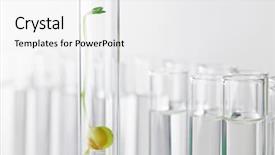  Presentation with genetically - Audience pleasing slide deck consisting of test tube genetically modified organism backdrop and a white colored foreground