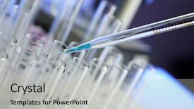  Presentation with laboratory blood test tubes - Presentation design with test tubes in laboratory close background and a light gray colored foreground