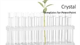  Presentation with tubes - Colorful theme enhanced with transparent solution and the plant backdrop and a white colored foreground