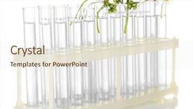  Presentation with tubes - Colorful PPT theme enhanced with test-tubes with a transparent solution and the plant isolated on white background close-up backdrop and a sky blue colored foreground