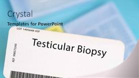 Presentation with testicular - Presentation theme featuring testicular-biopsy-a-small-piece background and a light blue colored foreground