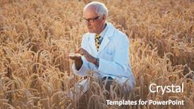  Presentation with gmo - PPT theme consisting of testing new breed of gmo background and a tawny brown colored foreground