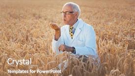  Presentation with gmo - Presentation theme featuring testing new breed of gmo background and a coral colored foreground