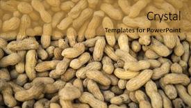  Presentation with groundnut roasted peanuts peanut - PPT theme consisting of make up artist doing professional makeup of young woman bride near the mirror in beauty studio on the morning wedding day background and a dark gray colored foreground