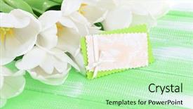  Presentation with light green - Slide deck with tet holiday - beautiful bouquet of white tulips background and a mint green colored foreground