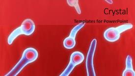  Presentation with medical bacteria - PPT theme featuring tetanus bacteria background and a red colored foreground