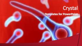 Presentation with tetanus - Slide deck having tetanus bacteria background and a crimson colored foreground