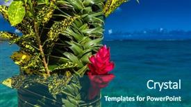  Presentation with flower wedding - Slide deck with teuila-red-flower-used background and a ocean colored foreground