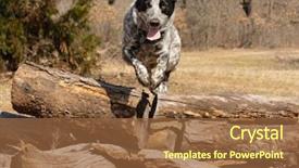  Presentation with texas - Amazing slide deck having texas heeler dog leaping backdrop and a tawny brown colored foreground