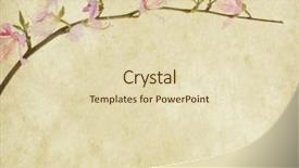  Presentation with grunge flower - Presentation theme consisting of text features - bauhinia flower on grunge abstract background and a  colored foreground