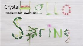  Presentation with spring - Beautiful presentation featuring text hello spring made backdrop and a light gray colored foreground