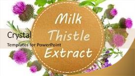 Presentation with milk thistle - PPT layouts consisting of text milk thistle extract background and a yellow colored foreground