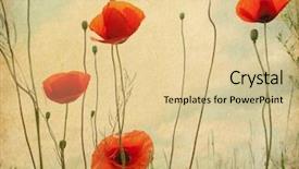  Presentation with vintage floral - PPT theme featuring text or image flower background and a lemonade colored foreground