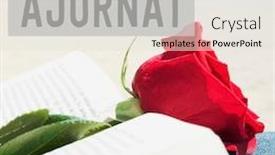  Presentation with feast - Amazing PPT theme having text-sant-jordi-postponed-written backdrop and a light gray colored foreground