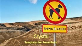  Presentation with dogs - Audience pleasing slide set consisting of text translatest to without bond backdrop and a tawny brown colored foreground