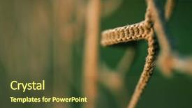  Presentation with curtain - Presentation enhanced with textile curtain fence background and a tawny brown colored foreground