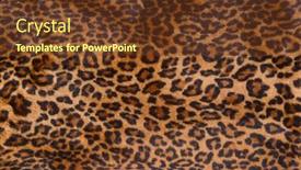  Presentation with pattern - Presentation design consisting of texture-and-pattern-of-leopard background and a tawny brown colored foreground