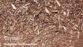  Presentation with mulch - Cool new presentation theme with texture-background-of-brown-wood backdrop and a coral colored foreground