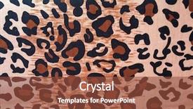  Presentation with plain colors gray texture cloth - PPT layouts consisting of texture background with leopard spots background and a tawny brown colored foreground