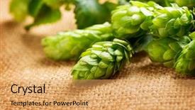  Presentation with linen - Beautiful PPT theme featuring texture burlap background beer brewing backdrop and a yellow colored foreground