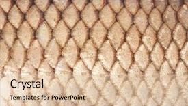  Presentation with fish scales - Colorful presentation design enhanced with texture of fish scales close backdrop and a lemonade colored foreground