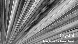  Presentation with black white tree - PPT layouts consisting of texture in black and white background and a gray colored foreground