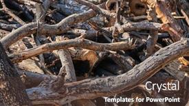  Presentation with dry - Cool new PPT theme with texture-of-a-pile backdrop and a tawny brown colored foreground