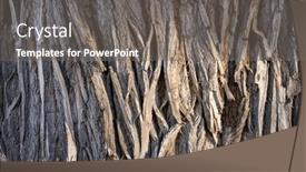  Presentation with vertical - Slide set having texture-of-an-old-poplar background and a gray colored foreground