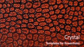  Presentation with crocodile - Presentation theme having texture of crocodile skin background and a tawny brown colored foreground