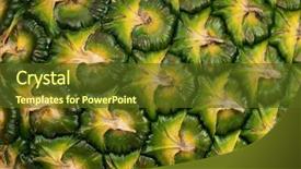  Presentation with pineapple - PPT layouts with texture of fresh ripe pineapple background and a tawny brown colored foreground