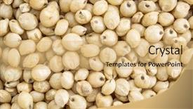  Presentation with gluten free - Amazing PPT theme having texture of gluten free sorghum backdrop and a coral colored foreground