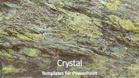  Presentation with lichen - Beautiful slides featuring texture of green yellow map backdrop and a gray colored foreground