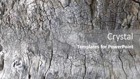  Presentation with texture - Audience pleasing slide deck consisting of texture-of-the-bark backdrop and a gray colored foreground