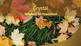  Presentation with yellow green - Presentation design consisting of texture-of-the-fallen-red background and a tawny brown colored foreground