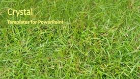  Presentation with purpose - Theme having texture-of-the-grass background and a tawny brown colored foreground