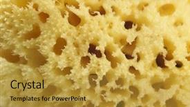  Presentation with texture - Audience pleasing theme consisting of texture of the natural sponge backdrop and a  colored foreground