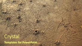  Presentation with crabs - Cool new presentation with texture-of-the-sand-ocean backdrop and a tawny brown colored foreground