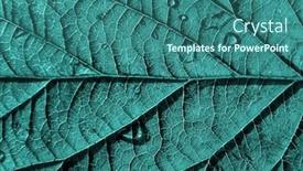  Presentation with wood texture - Colorful PPT layouts enhanced with texture of the wood sheet backdrop and a ocean colored foreground