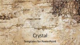  Presentation with wood texture - Cool new theme with texture of tree bark wood backdrop and a soft green colored foreground