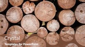  Presentation with wood log - Colorful presentation theme enhanced with texture of wood log pile background backdrop and a coral colored foreground