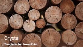  Presentation with wood log - Audience pleasing slides consisting of texture of wood log pile background backdrop and a tawny brown colored foreground