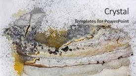  Presentation with snow flakes - PPT layouts featuring texture of woody mushroom tinder background and a sky blue colored foreground