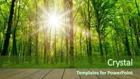  Presentation with yellow wood texture and - Presentation theme featuring textured backgrounds on the forest background and a tawny brown colored foreground