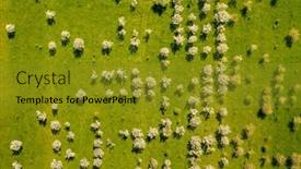  Presentation with orchard - Slide set featuring textured-image-of-a-cherry background and a gold colored foreground