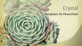  Presentation with old paper - Slide set enhanced with textured-old-paper-background background and a soft green colored foreground