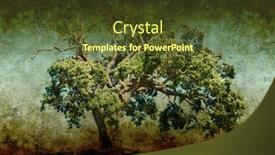  Presentation with old paper - Beautiful presentation theme featuring textured-old-saturated-grungy-paper backdrop and a tawny brown colored foreground