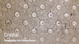  Presentation with part of engine - Colorful PPT layouts enhanced with textured part of a zebra backdrop and a gray colored foreground